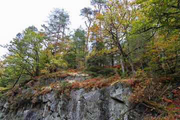 Dans la forêt d'Huelgoat, les chaos granitiques se mêlent aux teintes automnales, créant un paysage mystique où les rochers et les arbres, enveloppés de mousse, inspirent calme et contemplation.