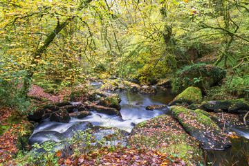  En automne, la rivière d’Argent devient un ruisseau enchanteur, entouré de feuillages...
