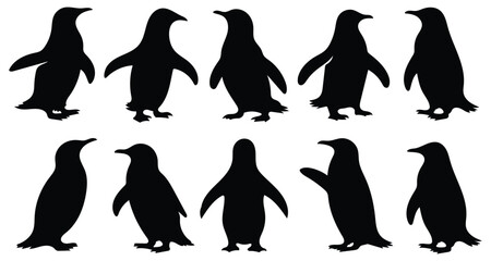 Fototapeta premium Set of penguin silhouettes in various poses. vector illustration isolated on white background.