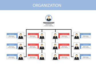 Organization Chart Infographics with People Icon and Abstract Line, Business Structure, Vector Illustration