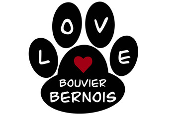 Vector of a dog paw print with the French word 
