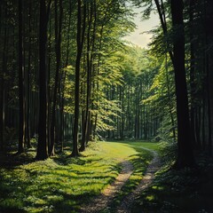 Obraz premium verdant wilderness