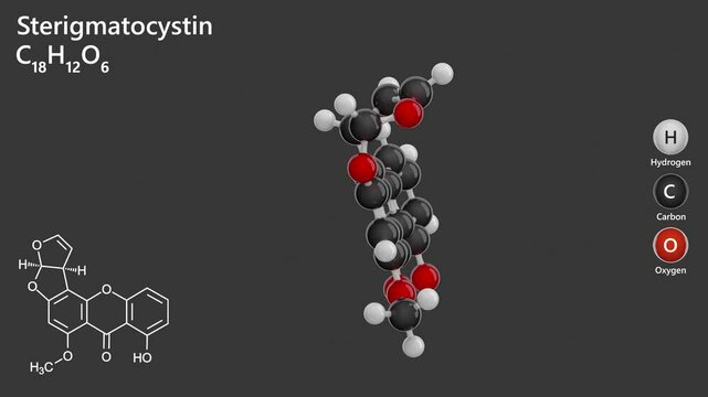 Sterigmatocystin. Polyketide mycotoxin. Animated 3D model of a molecule. Molecular formula: C18H12O6. Chemical model: Ball and stick. Gray background. 3D rendering.