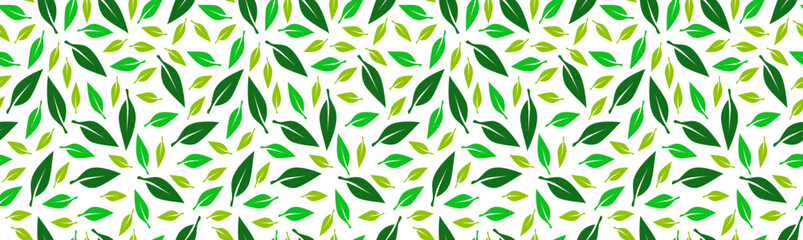 leaf background. leaves pattern background. green leaves pattern background. 