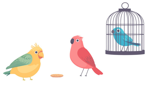 Bird is eating food in front of a cage. Another bird is standing next to the cage. Flat vector illustration isolated.
