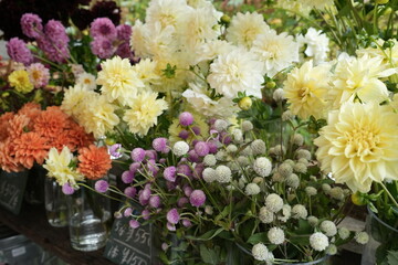 Colorful Flower at Flower Shop - 花屋 色とりどりの生花