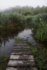 Scenic picturesque landscape view. rural nature in countryside in autumn. Serene peaceful nature countryside