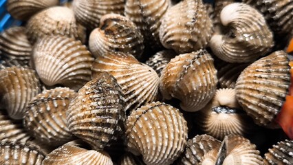 Clams in a restaurant. Seafood.