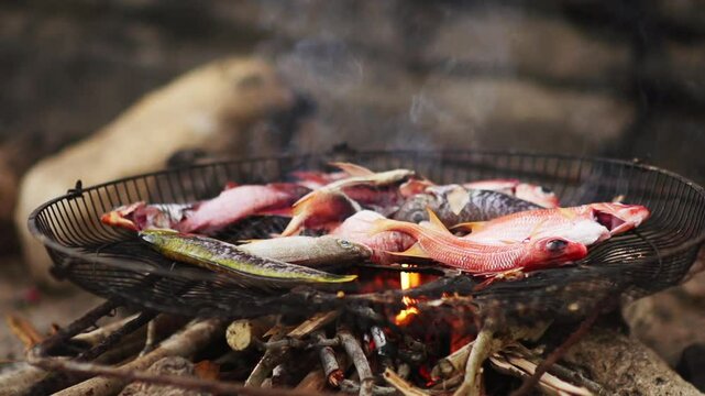 Slow motion shot of Squirrelfish roasting in a basket made from an electric fan cover over an open fire on Success Beach, Montego Bay, Jamaica