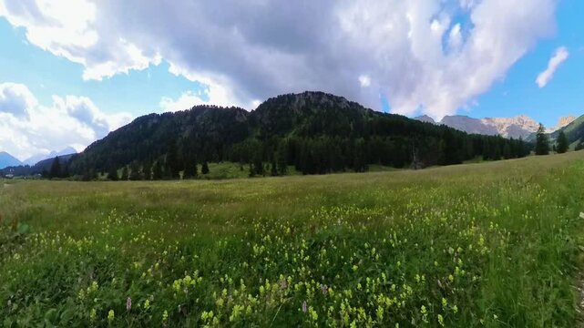 A view of Val Duron near Campitello di Fassa - Val di Fassa - Italy