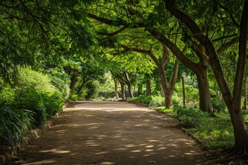 Fototapeta premium Zoo Background. Tree-Lined Canopied Path in Lush Green Park Landscape