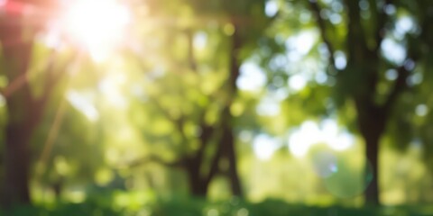 Obraz premium Blurred bokeh background of foliage in a sunny garden day, tranquil, texture, beauty