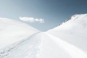 winter snowy mountains divided by ski tracks resort on one side and snowboard trails on the other, minimal background with copy space