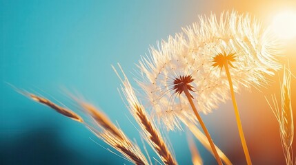 Macro of a dandelion seed head, fine details, soft focus, dreamlike nature scene