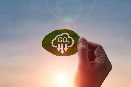 Hand holding green leaf with carbon reduction icon on blue sky background for decrease CO2 , carbon footprint and carbon credit to limit global warming from climate change concept.