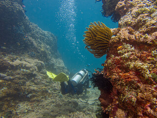 A scuba diver is blowing air bubbles and swimming past beautiful corals underwater. Picture from Puerto Galera, Philippines