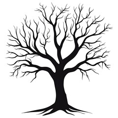 Fototapeta premium Silhouette of a bare tree with a thick trunk and roots.