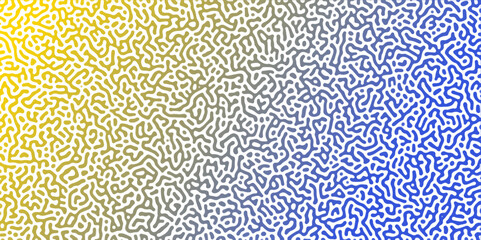 Abstract Reaction-diffusion Turing pattern natural texture yeallow and blue gradient color scheme. Linear design with biological algorithm psychedelic background. Reaction-diffusion or truing patter