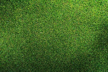 Obraz premium Green grass texture background, top view, flat lay, high resolution, real texture of green artificial lawn with no people