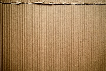 Brown cardboard background, top view, high resolution, very detailed, studio lighting, soft light, soft shadows, low contrast, clean sharp focus