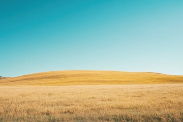 Fototapeta premium Vibrant Yellow Landscape Under Clear Sky