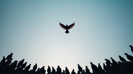 Bird Soaring Above a Silhouette of Other Birds