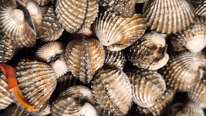 Clams in a restaurant. Seafood.