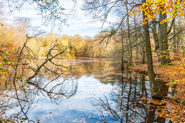 Autumn in Denmark 