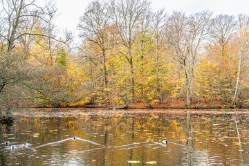 Autumn in Denmark 