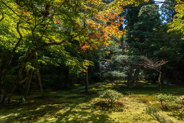 Obraz premium Japanese garden in Ginkakuji Temple, Kyoto, Japan