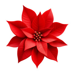 red poinsettia flower decor isolated on transparent background cutout