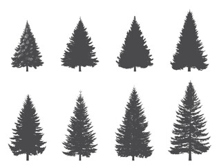 Obraz premium Spruce tree silhouette set. Christmas, New Year and nature design elements. Conifer isolated vector images