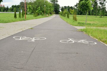 Obraz premium Two bike paths in the park with opposite directions of traffic 