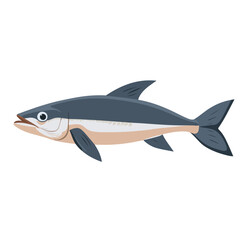 cobia fish