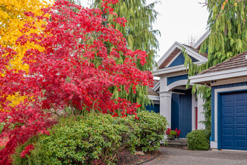 Fragment of  luxury house in fall with green trees and nice landscape in Vancouver, Canada, North America. Day time on November 2024.