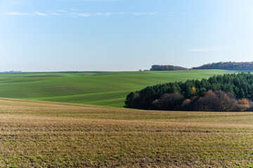 Obraz premium autumn landscape with trees