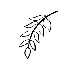 autumn doodle hand drawn outline