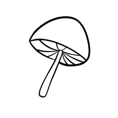 autumn doodle hand drawn outline