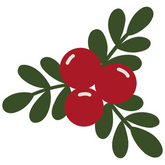 Christmas Holly Clipart with Red Berries and Green Leaves, Festive Holiday Illustration