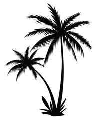 Palm shadow vector illustration. Palm tree, coconut tree, summer tree. Icon palm tree image for posters, banners and promotional items. Tropical palm trees set silhouette. Black palms limb, coco tree 