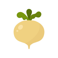 radish or turnips. Vector illustration isolated on white background. turnip vegetable for cooking meals