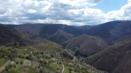 Naklejka premium Aerial view of vineyard in region country