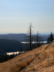 Pacific Northwest views 