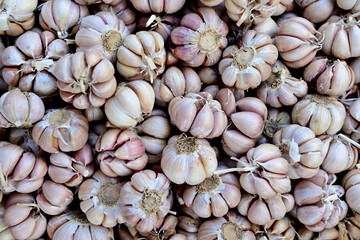 A basket of freshly harvested raw whole garlic cloves, street market in Ho Chi Mihn City, Vietnam