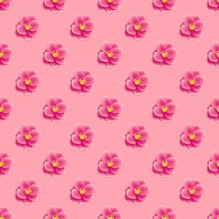 seamless pattern with pink flowers