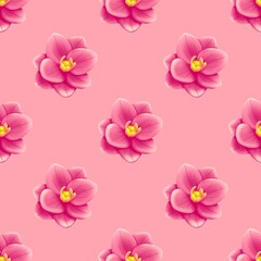 pink flowers background