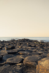 Texture of the ground at giant's causeway