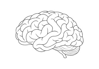 Continuous Line Art of a Human Brain. Minimalist Neuroscience Illustration for Medical and Educational Themes