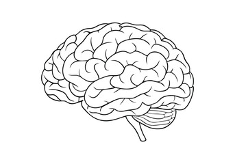 Continuous Line Art of a Human Brain. Minimalist Neuroscience Illustration for Medical and Educational Themes