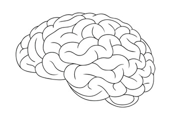 Continuous Line Art of a Human Brain. Minimalist Neuroscience Illustration for Medical and Educational Themes